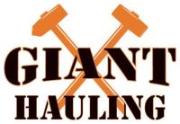Giant Hauling & Demolition image 1